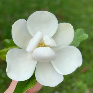 Meet your Posher, Samra